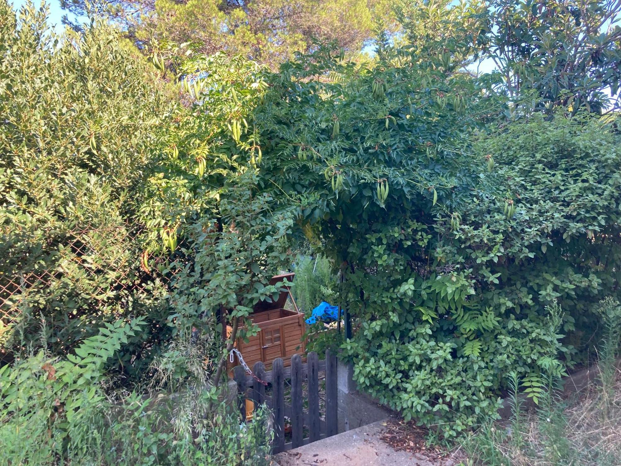 Maison Lumineuse Bagnols-sur-Cèze Esterno foto